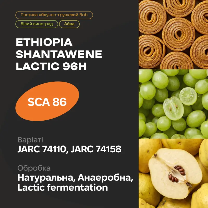 Ethiopia Shantawene Lactic 96h